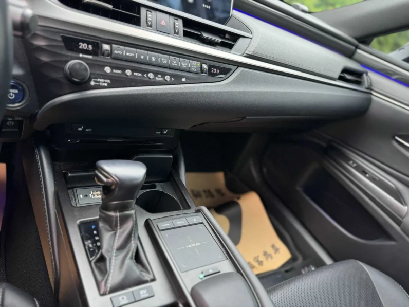 2018年 凌志 ES300H 2.5 油電豪華版 里程 10 萬