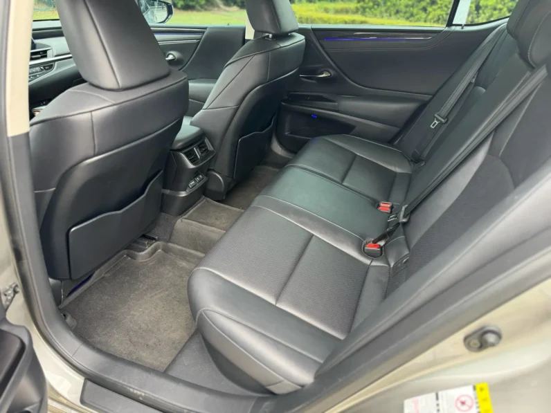 2018年 凌志 ES300H 2.5 油電豪華版 里程 10 萬