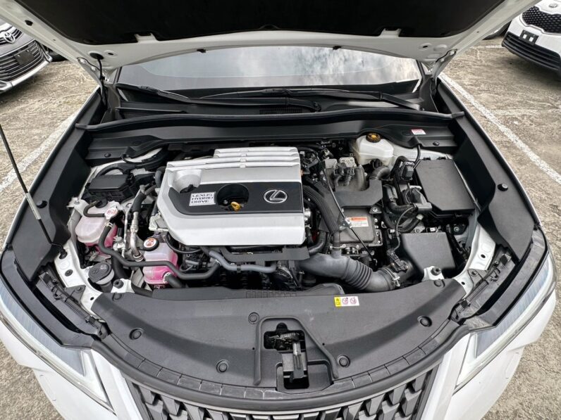 【日系質感小休旅】2022年凌志UX250H油電豪華版2.0，原漆原版件原廠保固中