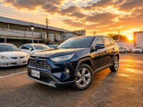 【豐田熱銷油電SUV】2020年豐田RAV4 2.5油電旗艦，全車原版件無待修/購車享一年兩萬公里保固