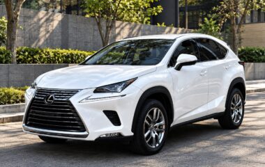 【凌志中型休旅首選】2021年式凌志NX300豪華版/中古認證車/購車享1年兩萬公里保固